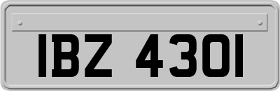IBZ4301