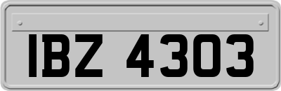 IBZ4303
