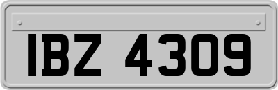 IBZ4309