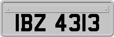 IBZ4313