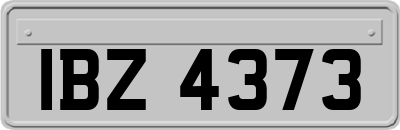 IBZ4373