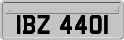 IBZ4401
