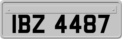 IBZ4487