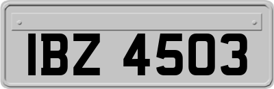 IBZ4503
