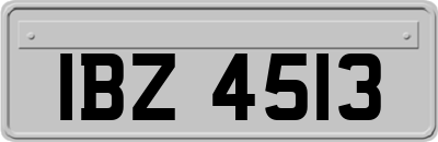 IBZ4513