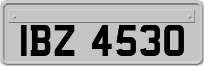 IBZ4530