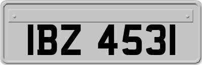 IBZ4531