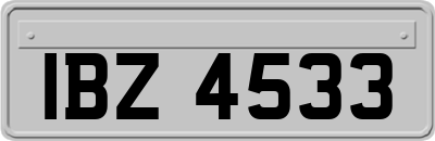 IBZ4533