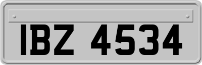 IBZ4534