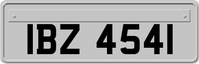 IBZ4541