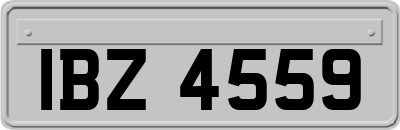 IBZ4559