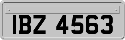 IBZ4563