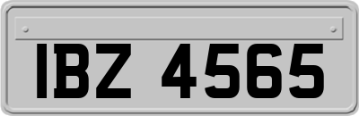 IBZ4565