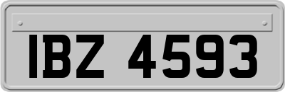IBZ4593