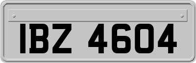 IBZ4604