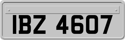 IBZ4607