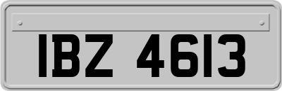 IBZ4613