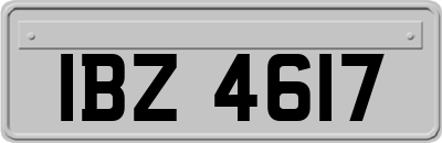 IBZ4617