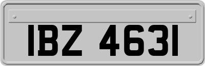 IBZ4631