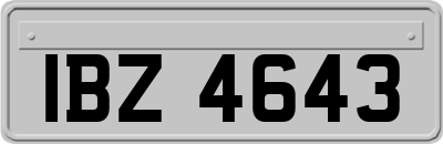 IBZ4643