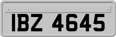 IBZ4645