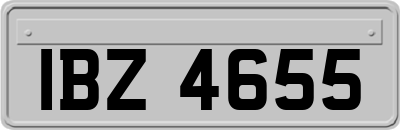 IBZ4655