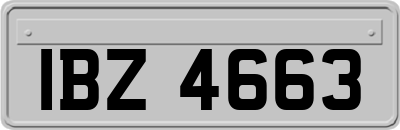 IBZ4663