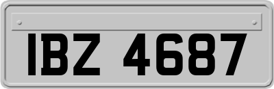 IBZ4687