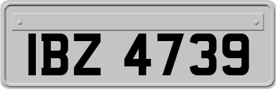 IBZ4739