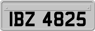 IBZ4825