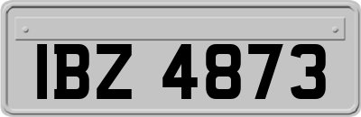 IBZ4873