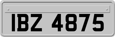 IBZ4875
