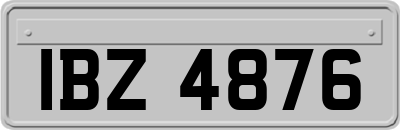 IBZ4876