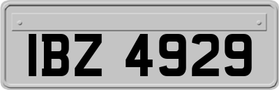 IBZ4929