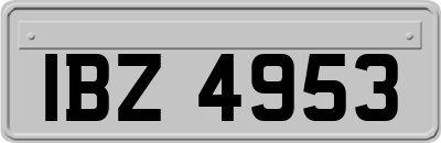 IBZ4953