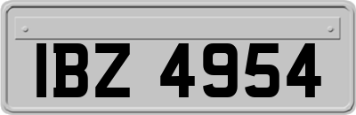 IBZ4954