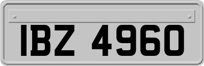 IBZ4960