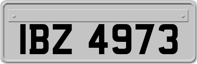 IBZ4973