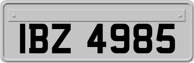 IBZ4985