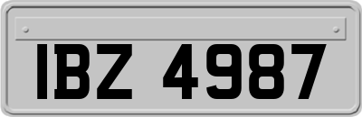 IBZ4987