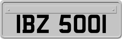 IBZ5001