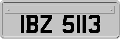 IBZ5113