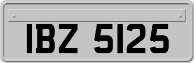 IBZ5125