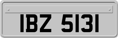 IBZ5131