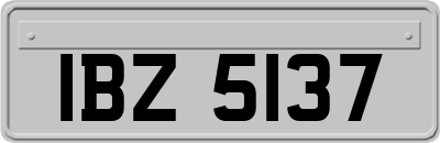 IBZ5137