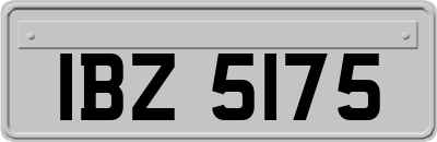 IBZ5175