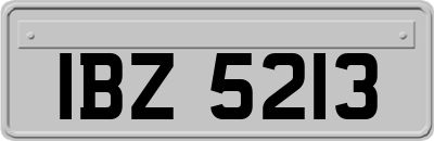 IBZ5213