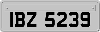 IBZ5239