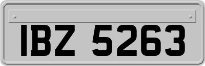IBZ5263