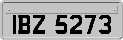 IBZ5273